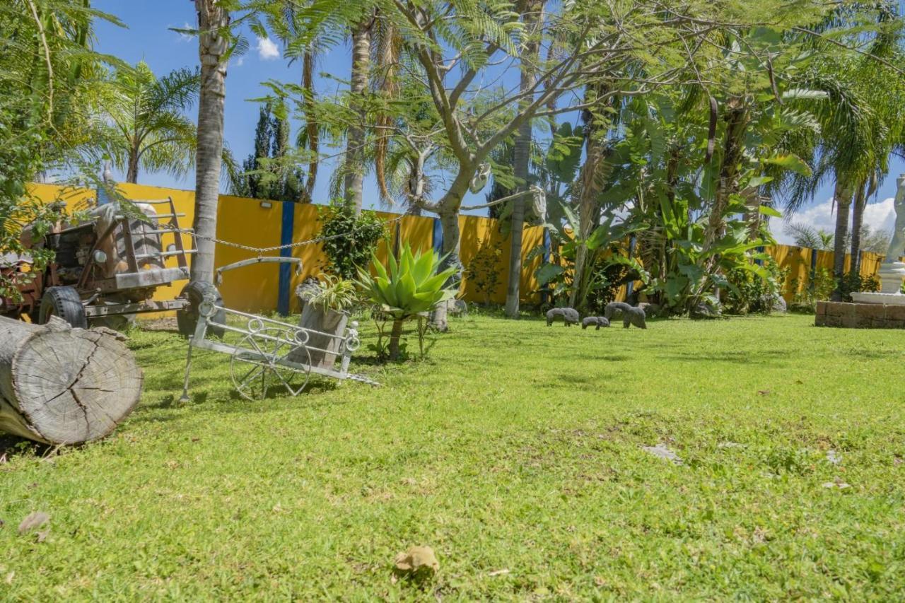 Hotel & Bungalows Las Palmas Villa Corona Buitenkant foto